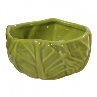 Bowl Repolho - Linha Seletta