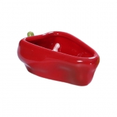 mini bowl pimentão vermelho